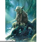 Star Wars Fine Art Collection Yoda 1000 Piece Jigsaw Puzzle  B073YG9KVG